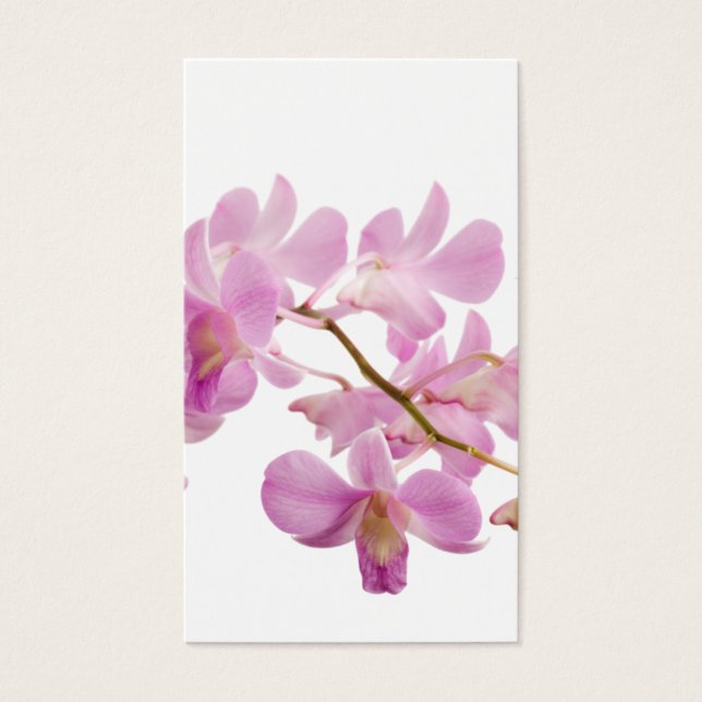 Hot Pink Dendrobium Orchid-Blume Orchideen Vorlage (Vorderseite)