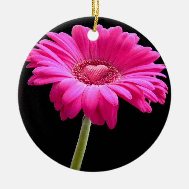 Hot Pink Gerbera Daisy Keramik Ornament (Vorne)
