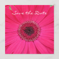 Hot Pink Gerbera Daisy Save the Date Einladung