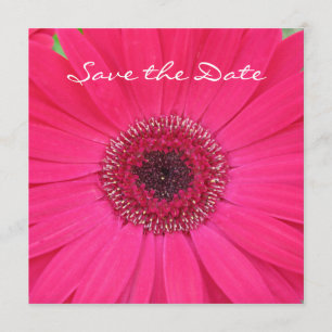 Hot Pink Gerbera Daisy Save the Date Einladung