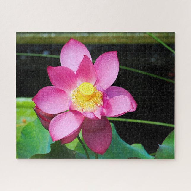 Hot Pink Lotus Puzzle (Horizontal)