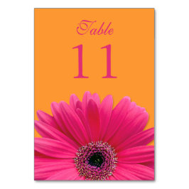 Hot Pink Orange Gerbera Daisy Wedding Tischnummer