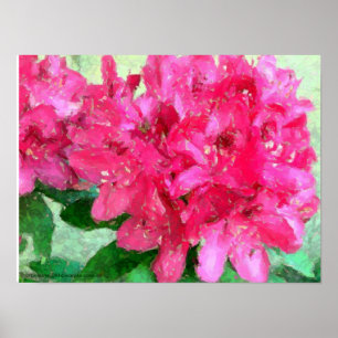 Hot Pink Rhododendron Ei Crackle Abstrakt Poster