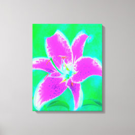 Hot Pink Stargazer Liege auf Türkis und Grün Leinwanddruck