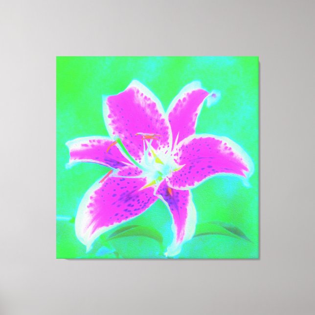 Hot Pink Stargazer Liege auf Türkis und Grün Leinwanddruck (Vorderseite)