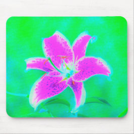 Hot Pink Stargazer Liege auf Türkis und Grün Mousepad