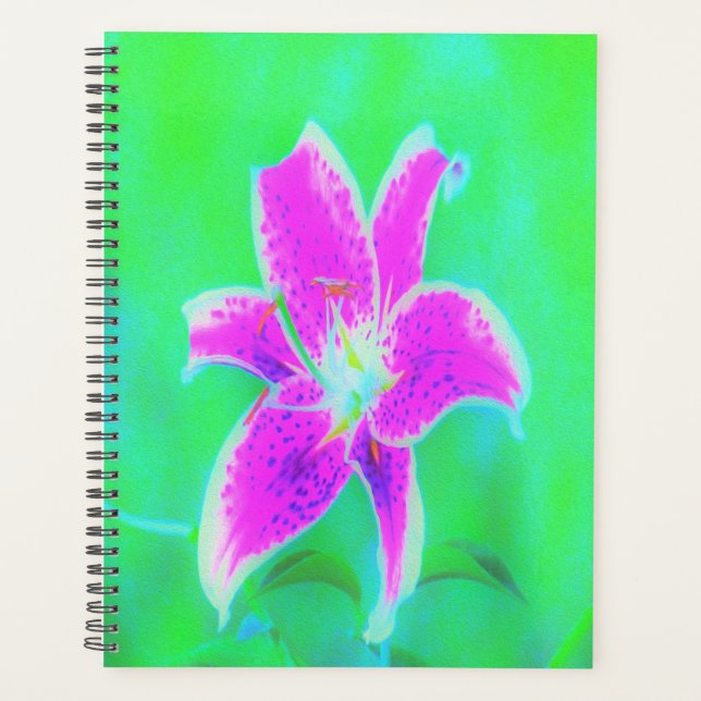 Hot Pink Stargazer Liege auf Türkis und Grün Planer (Vorderseite)