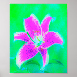 Hot Pink Stargazer Liege auf Türkis und Grün Poster