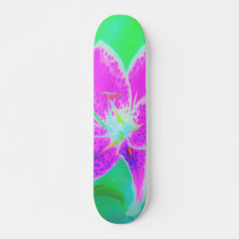 Hot Pink Stargazer Liege auf Türkis und Grün Skateboard