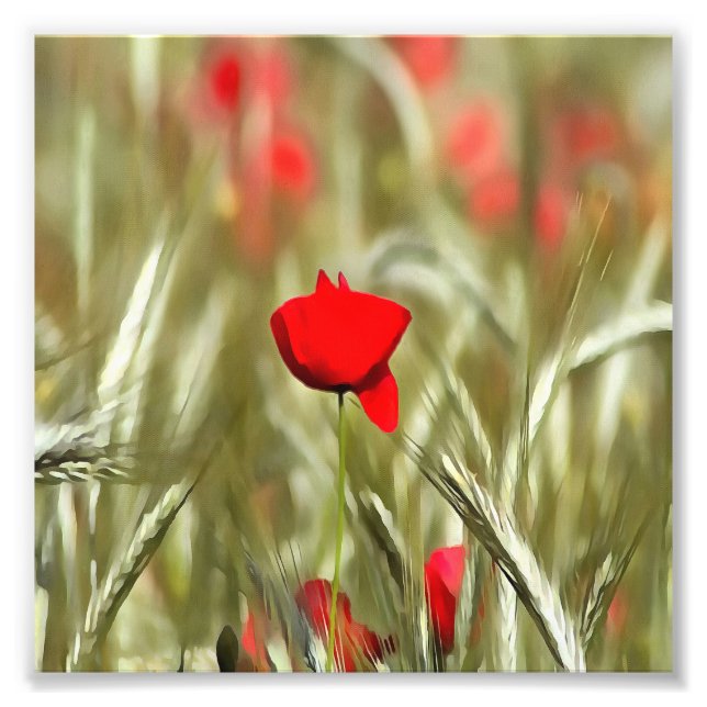 Hot Poppy Acrylmalerei Fotodruck (Vorne)