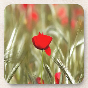 Hot Poppy Acrylmalerei Untersetzer