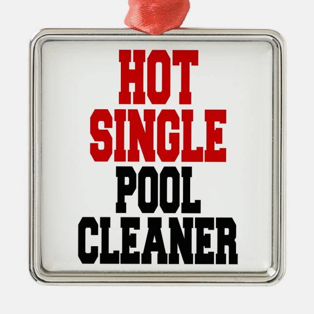 Hot Single Pool Cleaner Ornament Aus Metall (Vorne)
