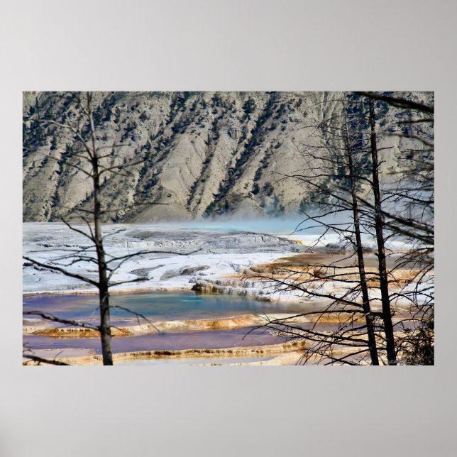 Hot Spring Nature Poster (Vorne)