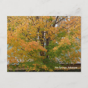 Hot Springs, AR Autumn Leaves Postcard Postkarte