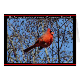 Hot Springs Bergpromenade Kardinal Geschenke