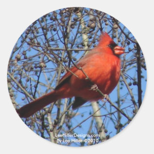 Hot Springs Bergpromenade Kardinal Geschenke Runder Aufkleber