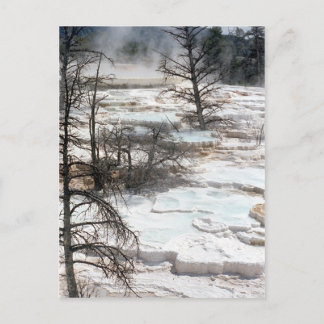 Hot Springs in Neuseeland Postkarte