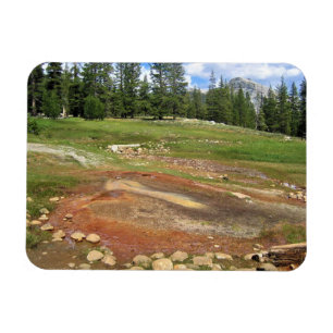 Hot Springs in Tuolumne Meadows, Yosemite, CA Magnet