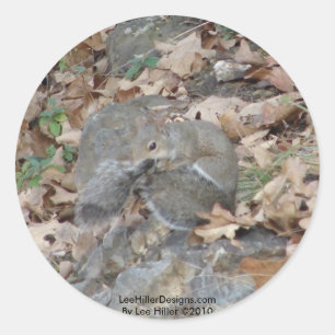 Hot Springs Mountain, AR-Eichhörnchen-Tarnungsgesc Runder Aufkleber