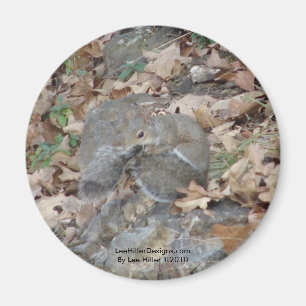 Hot Springs Mountain, AR Squirrel Camouflage Gesch Magnet