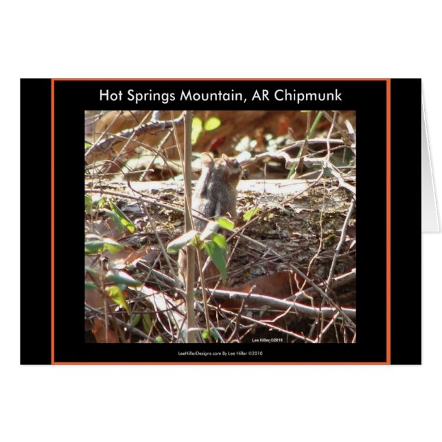 Hot Springs Mountain, Arkansas Chipmunk Geschenke (Vorderseite (Horizontal))