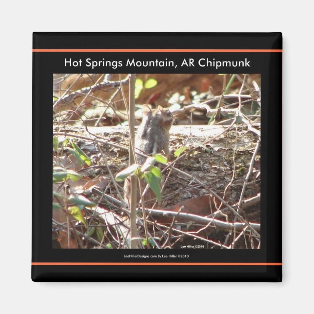 Hot Springs Mountain, Arkansas Chipmunk Geschenke Magnet (Vorne)