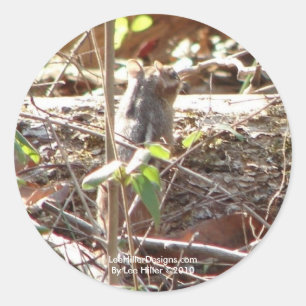 Hot Springs Mountain, Arkansas Chipmunk Geschenke Runder Aufkleber