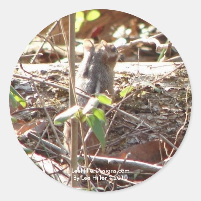 Hot Springs Mountain, Arkansas Chipmunk Geschenke Runder Aufkleber (Vorderseite)