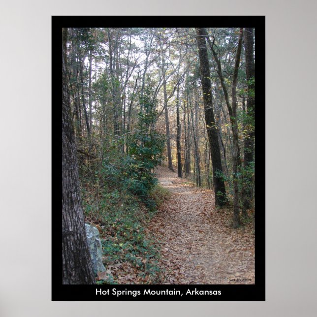 Hot Springs Mountain Arkansas Path Large Print Poster (Vorne)