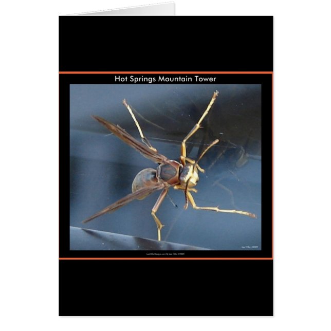 Hot Springs Mountain Wasp Geschenk & Aparel (Vorne)