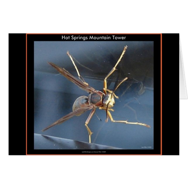 Hot Springs Mountain Wasp Geschenk & Aparel (Vorderseite (Horizontal))