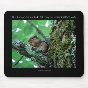 Hot Springs National Park, AR Chipmunk Snack Gesch Mousepad