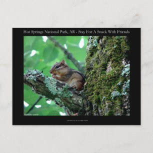 Hot Springs National Park, AR Chipmunk Snack Gesch Postkarte