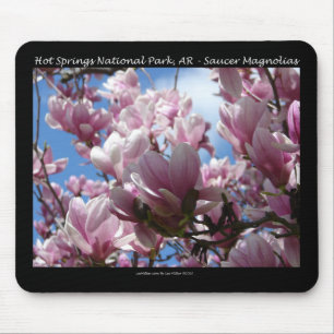 Hot Springs National Park AR Teller Magnolien Gesc Mousepad