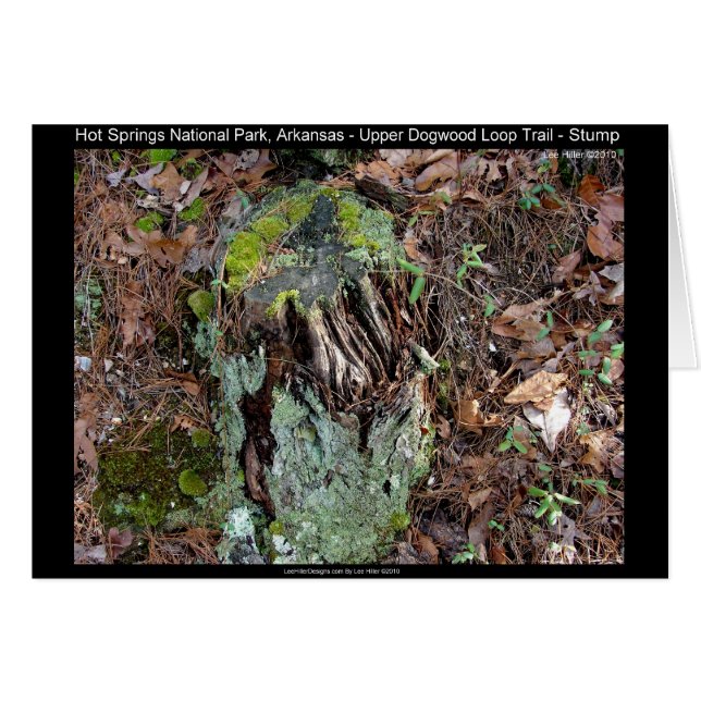 Hot Springs National Park, AR Upper Dogwood Loop (Vorderseite (Horizontal))