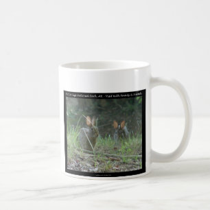 Hot Springs National Park, AR Wild Rabbits Gesche Tasse