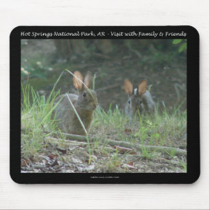 Hot Springs National Park, AR Wild Rabbits Geschen Mousepad