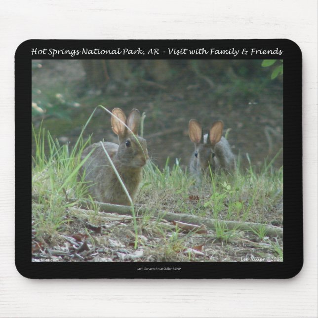 Hot Springs National Park, AR Wild Rabbits Geschen Mousepad (Vorne)