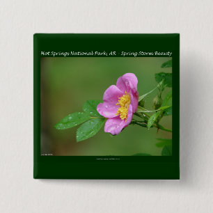 Hot Springs National Park, AR Wild Rose Geschenke Button