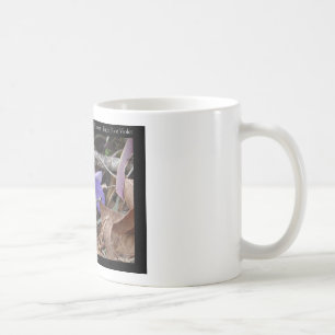 Hot Springs National Park, AR Wilde Veilchen Gesch Tasse