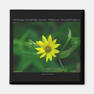 Hot Springs National Park Wald-Sonnenblumen-Gesche Magnet