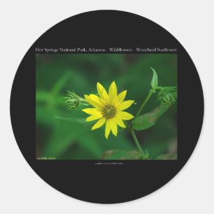 Hot Springs National Park Wald-Sonnenblumen-Gesche Runder Aufkleber