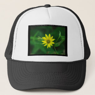 Hot Springs National Park Wald-Sonnenblumen-Gesche Truckerkappe