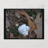 Hot Springs Nationalpark, AR - Eisschmuck - Gesche