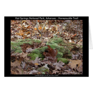 Hot Springs Nationalpark, AR - Honeysuckle Trail
