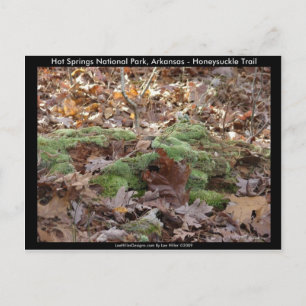 Hot Springs Nationalpark, AR - Honeysuckle Trail Postkarte