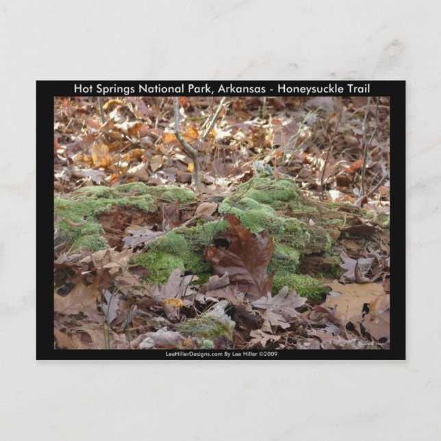 Hot Springs Nationalpark, AR - Honeysuckle Trail Postkarte (Vorderseite)
