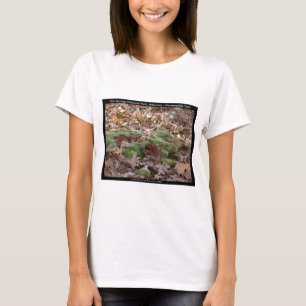 Hot Springs Nationalpark, AR - Honeysuckle Trail T-Shirt