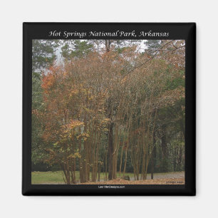 Hot Springs Nationalpark, AR Oberhalb der Promenad Magnet