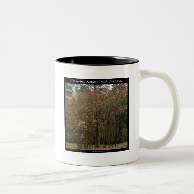 Hot Springs Nationalpark, AR Oberhalb der Promenad Zweifarbige Tasse (Rechts)